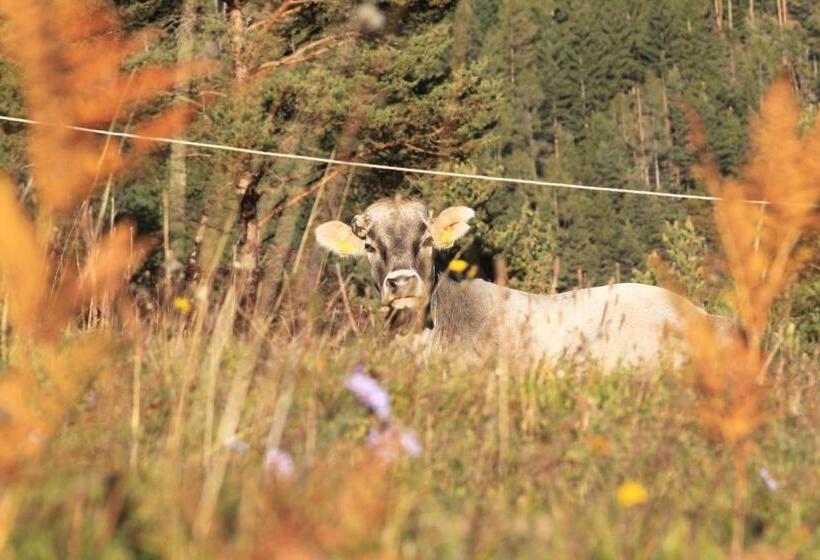 בית מלון כפרי Agriturismo Maso Santa Libera