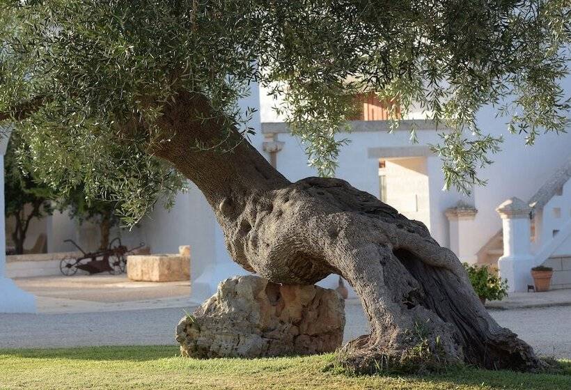 호텔 Agriturismo Masseria De Michele