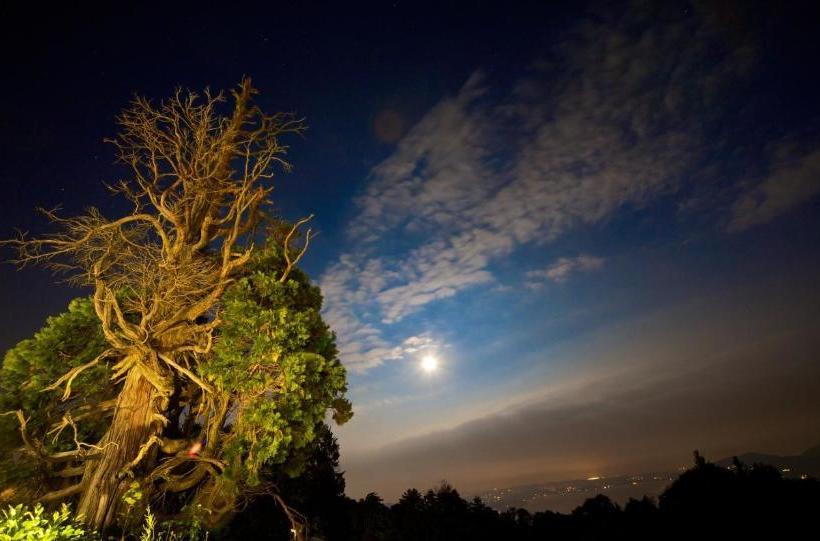 ホテル Agriturismo Monterosso