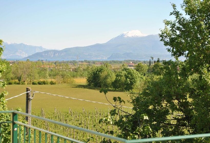 酒店 Albergo Quattro Pini