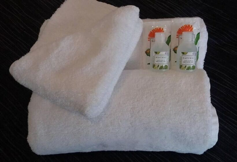 Отель Baden Lodge