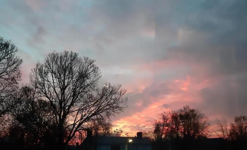 호텔 B&b Oosterpark