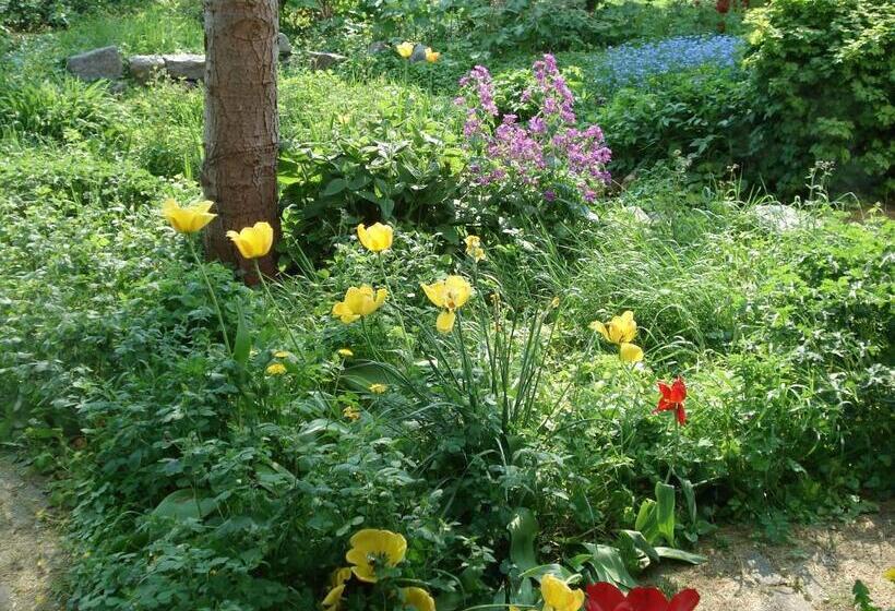 호텔 B&b Oosterpark