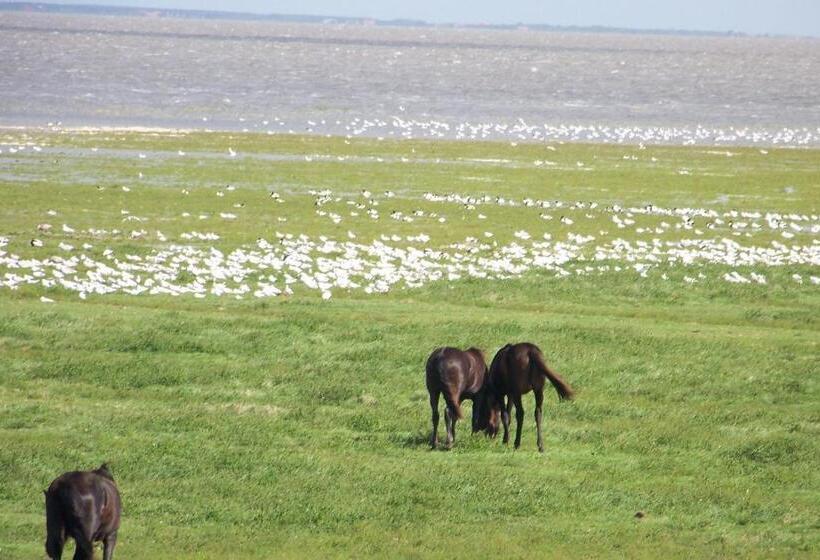 호텔 B&b Oosterpark