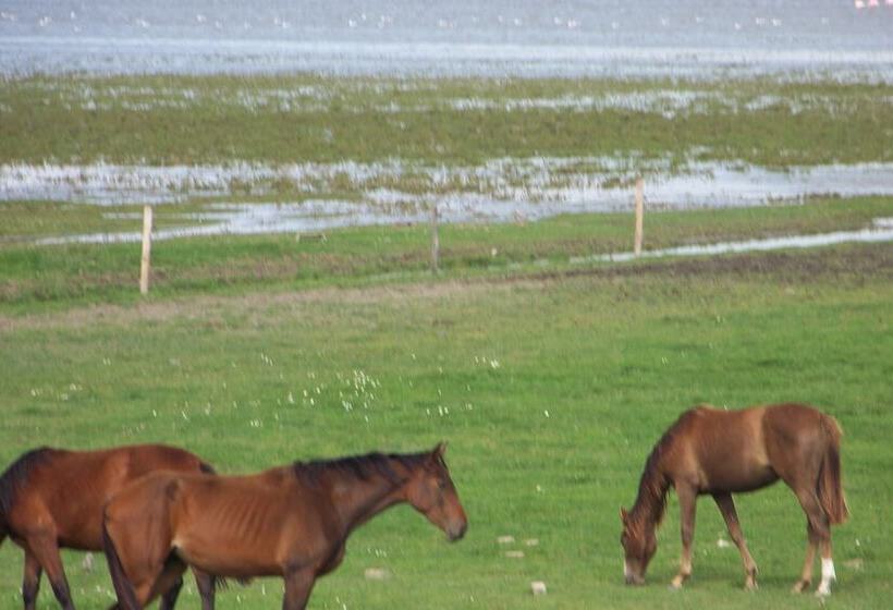 호텔 B&b Oosterpark