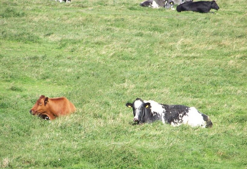 호텔 B&b Oosterpark