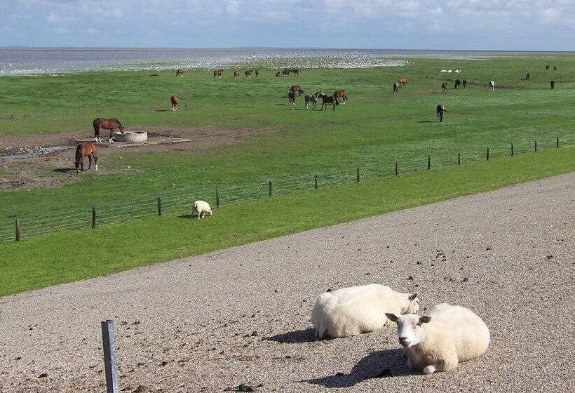 호텔 B&b Oosterpark