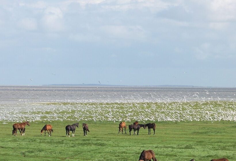 호텔 B&b Oosterpark