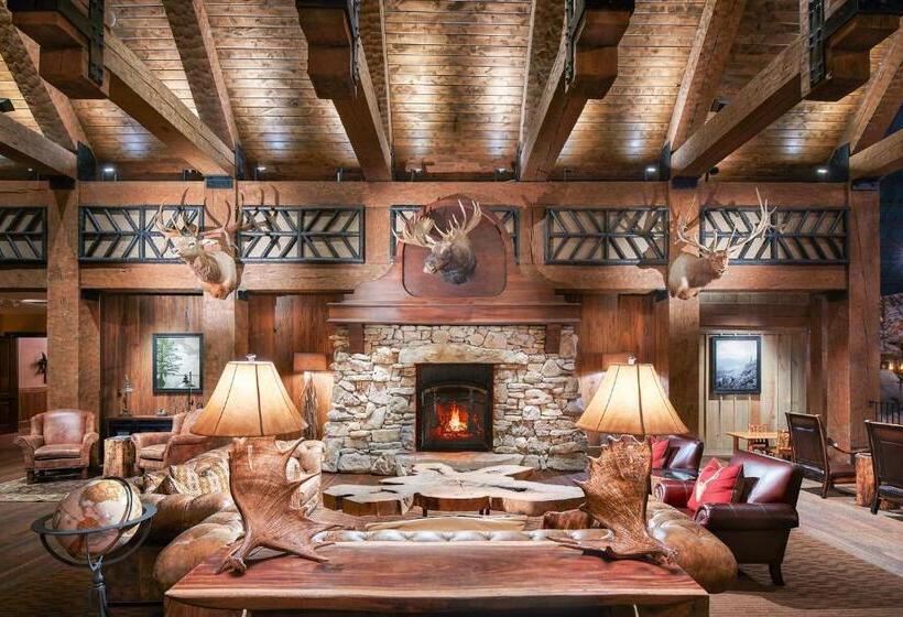 فندق Big Cypress Lodge