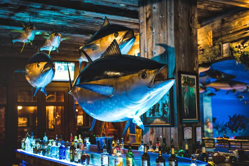 ホテル Big Cypress Lodge