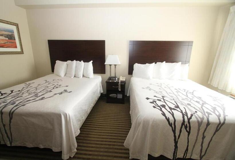 فندق Bowman Inn And Suites