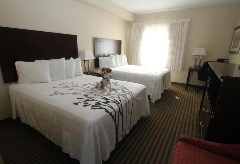 فندق Bowman Inn And Suites