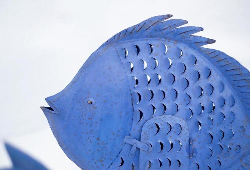 בית מלון כפרי Ca S'arader Turismo De Interior