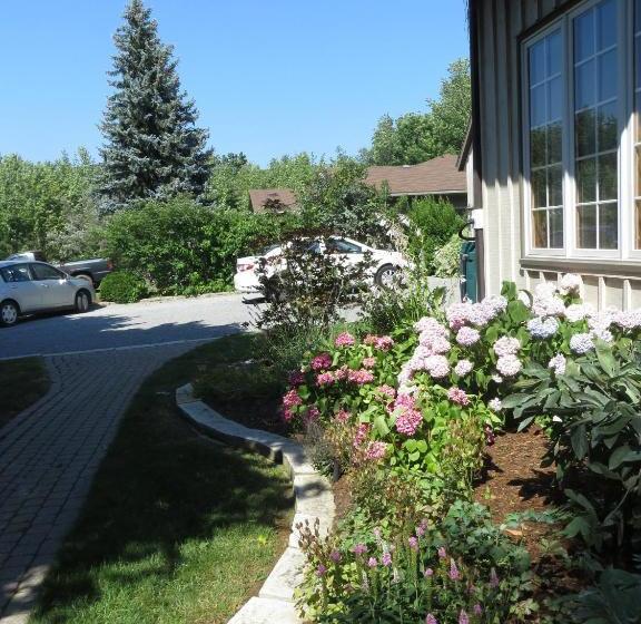 ホテル Cedar Gables Bed & Breakfast