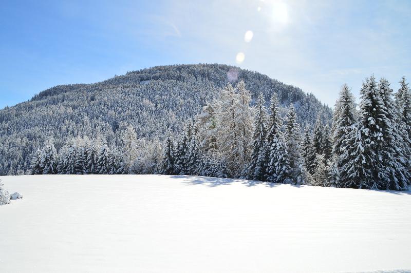Отель Chalet Olympia