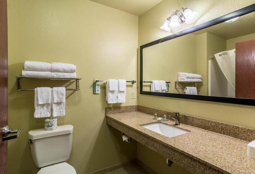 Cobblestone Hotel & Suites   Harborcreek