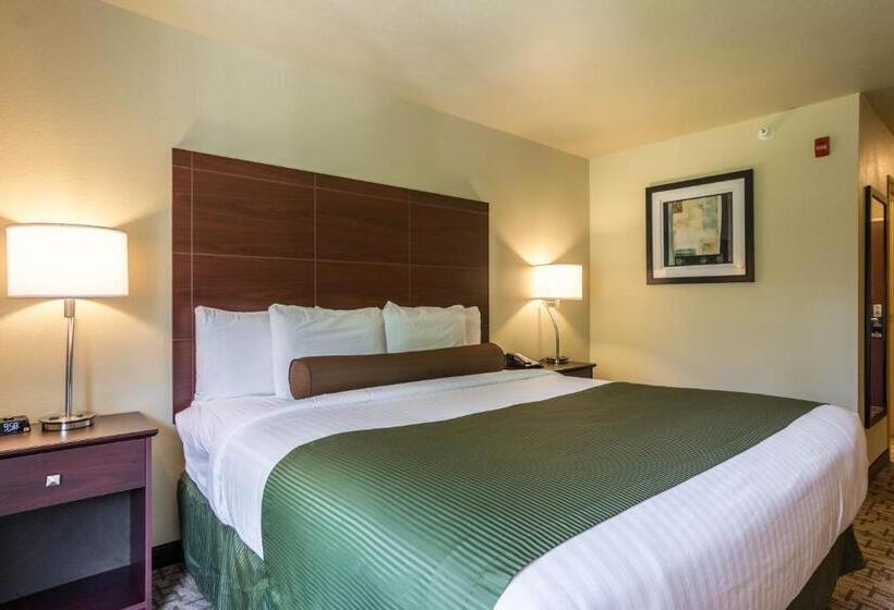 Cobblestone Hotel & Suites   Harborcreek