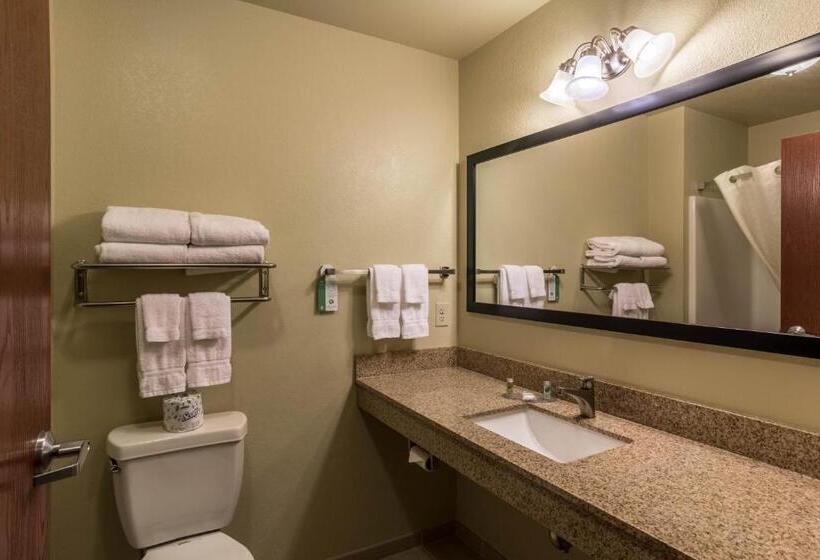 Cobblestone Hotel & Suites   Harborcreek