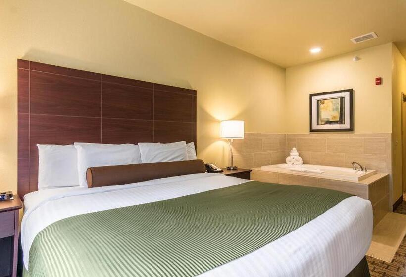 Cobblestone Hotel & Suites   Harborcreek