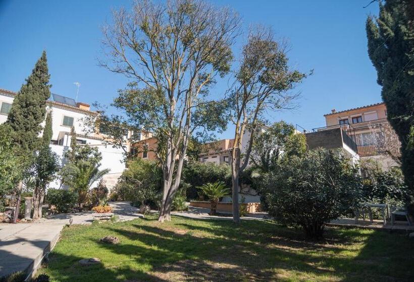 ホテル El Nido De Alaro   Turismo De Interior