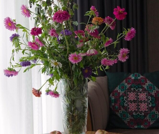 בית מלון כפרי Jipek Joli