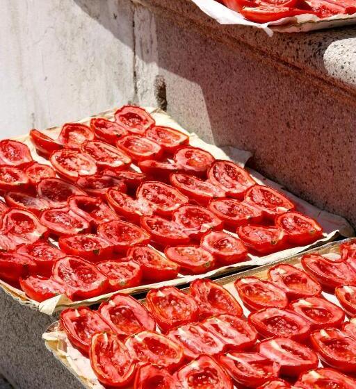 فندق La Casa Del Turista