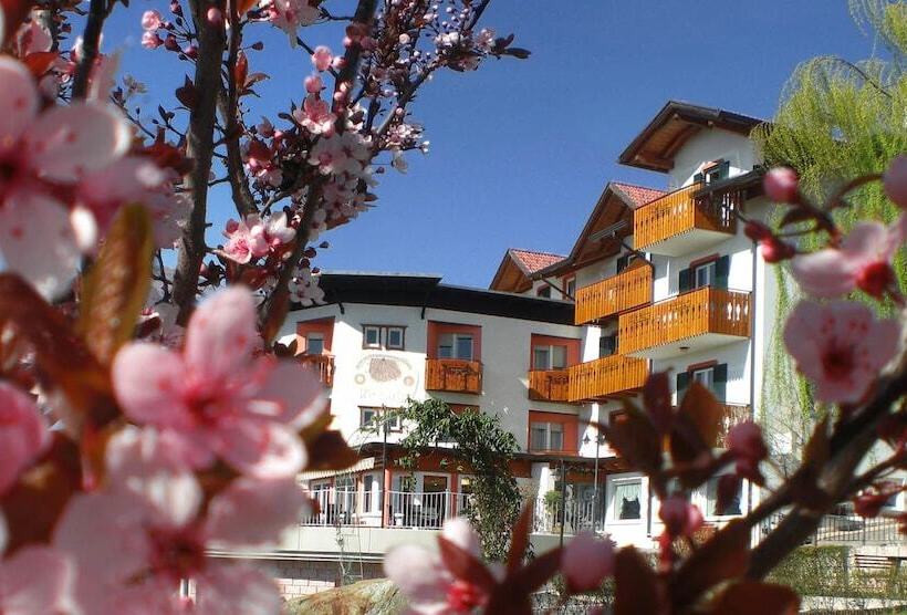 La Montanina Hotel In Val Di Non