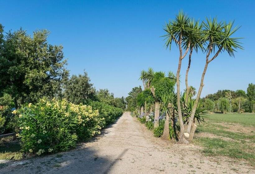 בית מלון כפרי Masseria Mazzetta Salento Corte Del Falconiere B&b