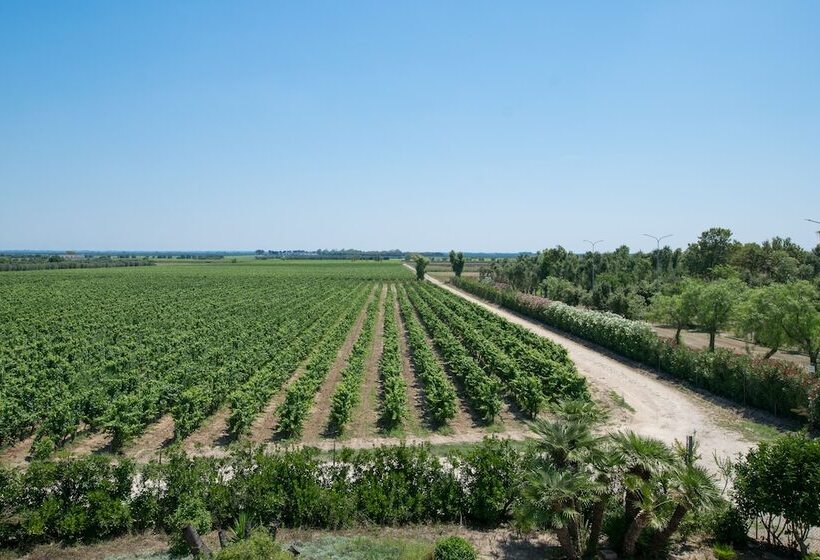 בית מלון כפרי Masseria Mazzetta Salento Corte Del Falconiere B&b