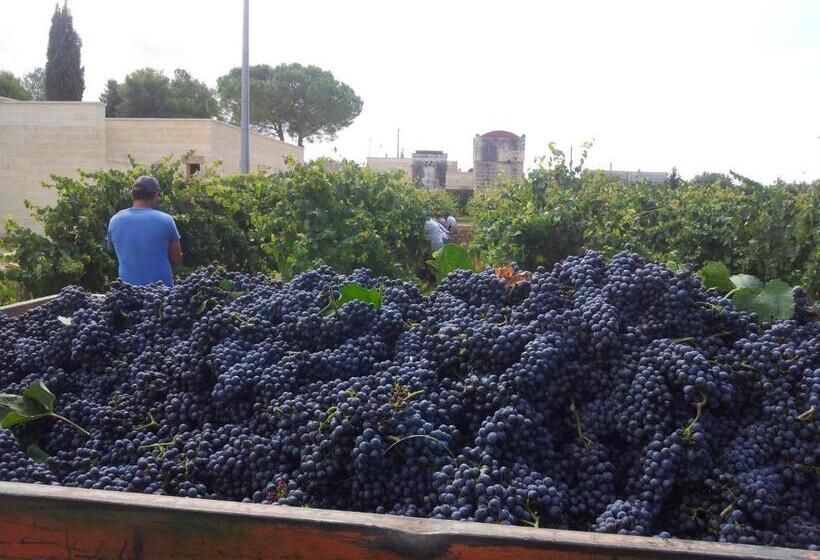 Отель Masseria Tenuta Flora Maria