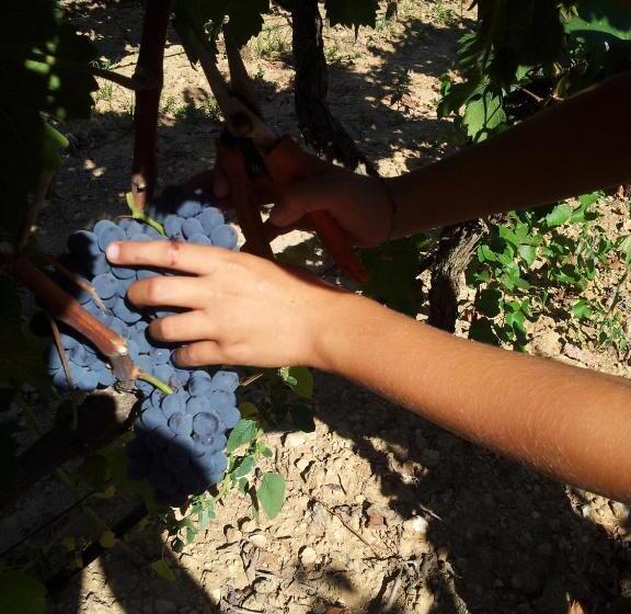 Отель Masseria Tenuta Flora Maria