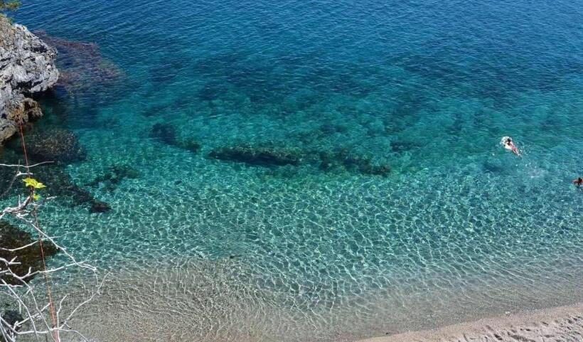 בית מלון כפרי Mimosa