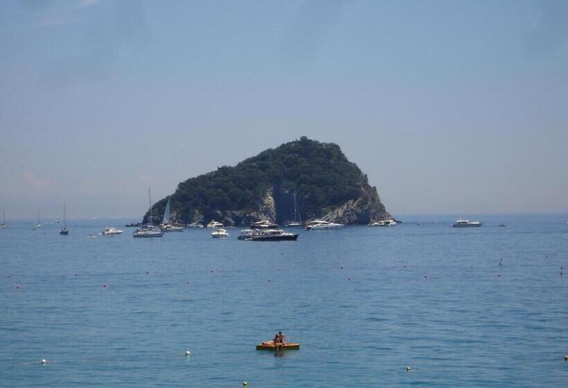 בית מלון כפרי Mimosa