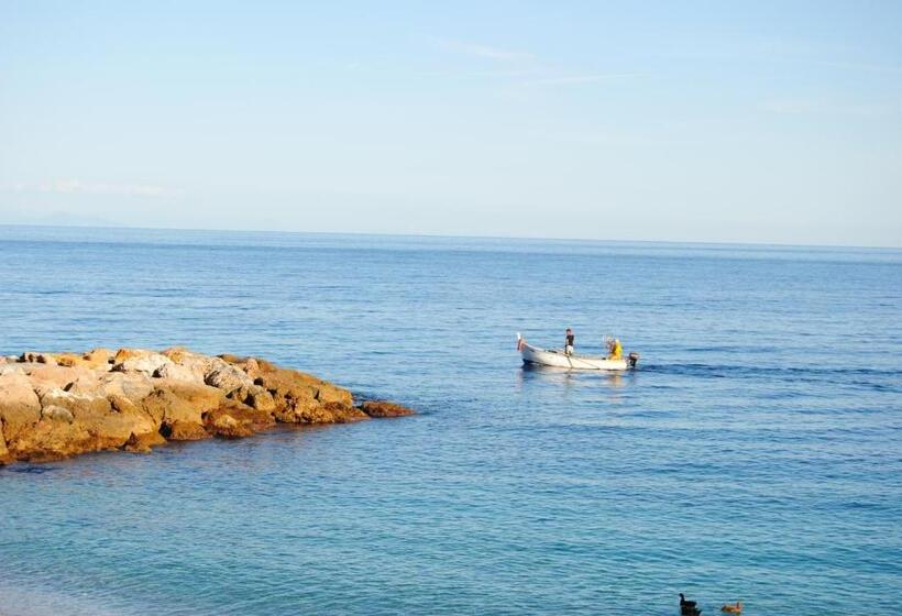 בית מלון כפרי Mimosa