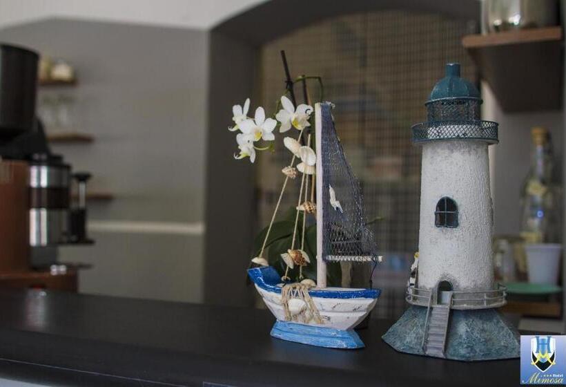 בית מלון כפרי Mimosa