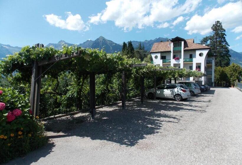 酒店 Pension Verdorfer