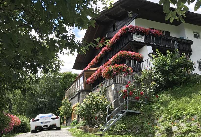 酒店 Alpenblick Bed & Breakfast