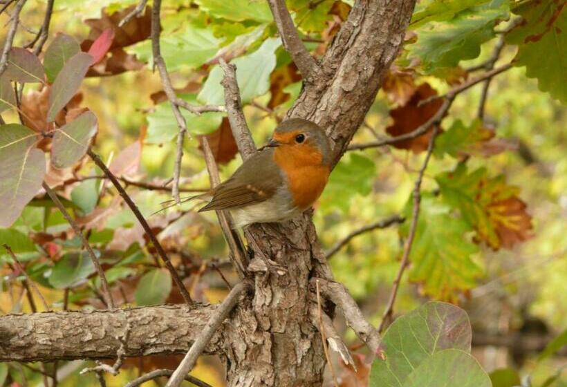 فندق Plitvice Pansion Lovrić