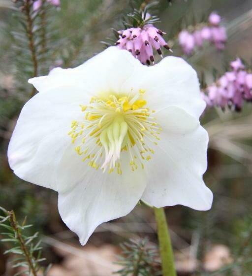 فندق Plitvice Pansion Lovrić