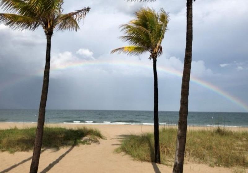 فندق Plunge Beach Resort