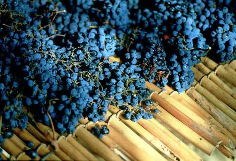 ホテル Podere Il Poggiolo