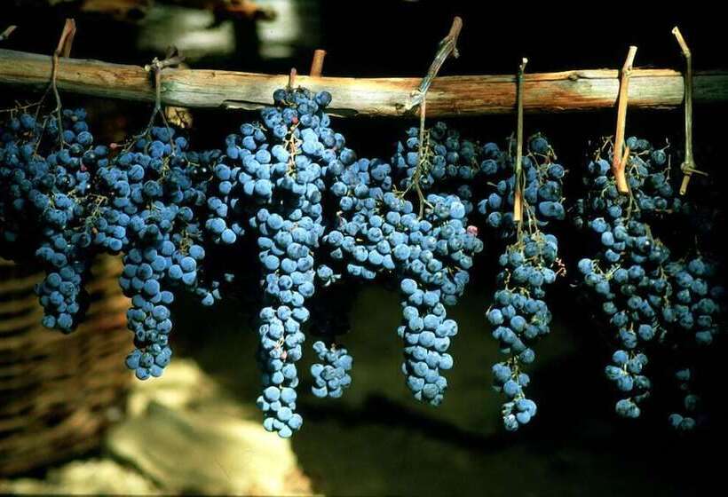 ホテル Podere Il Poggiolo