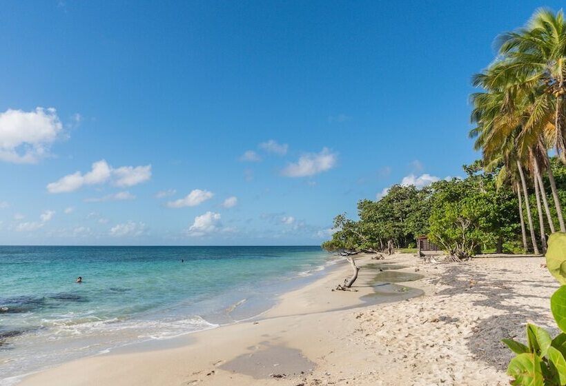 ホテル Residence Les Cayalines