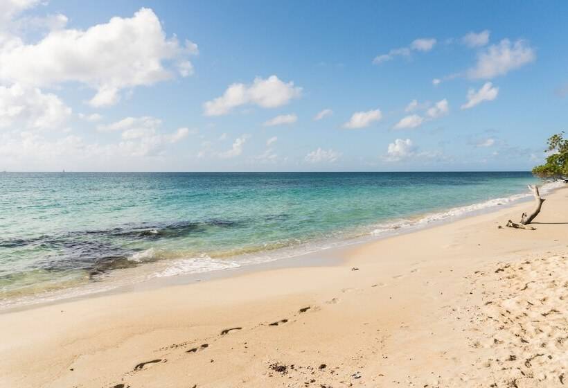 ホテル Residence Les Cayalines