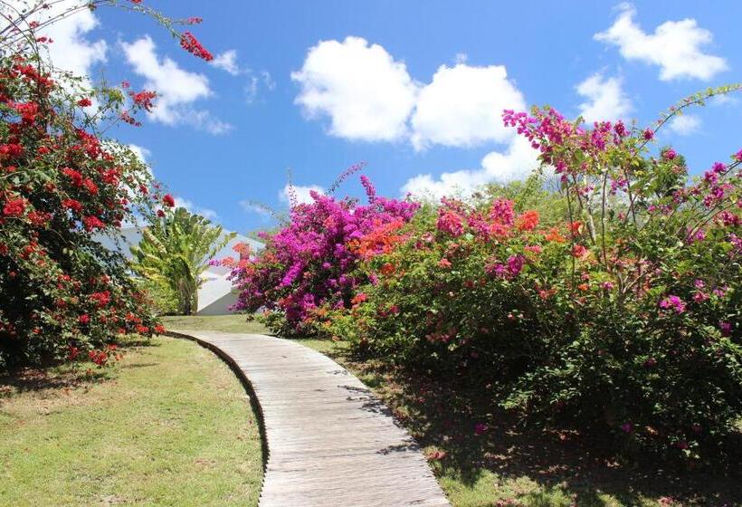 ホテル Residence Les Cayalines