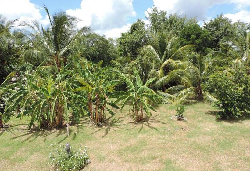 ホテル Residence Les Cayalines