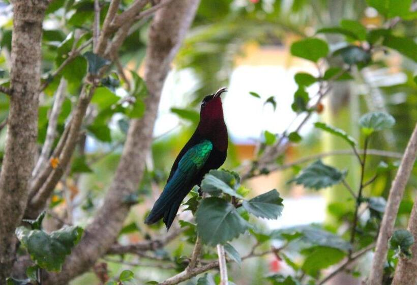 ホテル Residence Les Cayalines