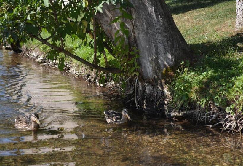 فندق Rustic Inn River 2