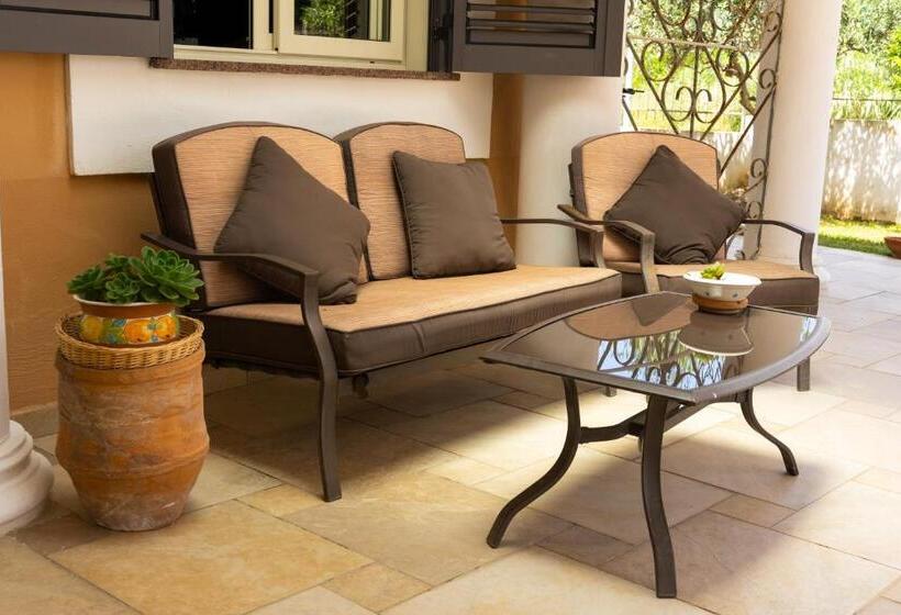 Отель Senator Mediterraneo