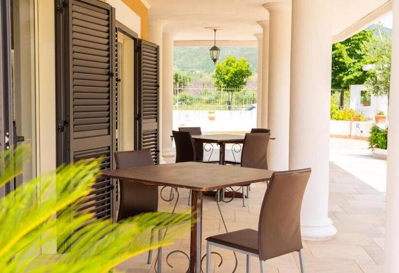 Отель Senator Mediterraneo